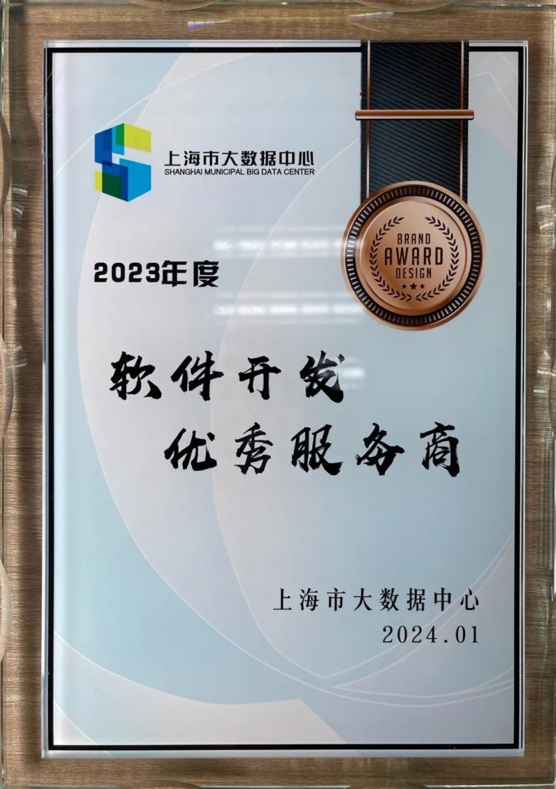 软件开发定制：构建未来科技的桥梁
